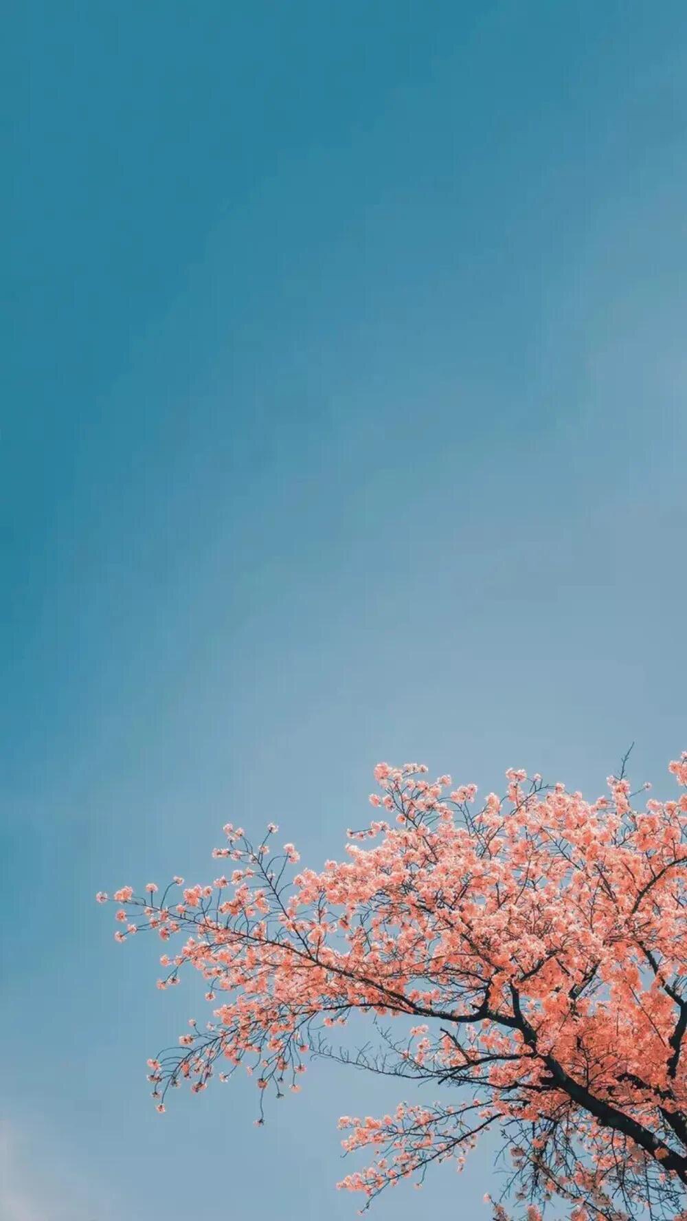 金满田园