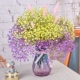 Purple+Huang Man Tianxing+розовый хвост кролика