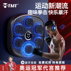 Smart Music Boxing Machine for Home Use, Adult Wall Target, Children's Electronic Reaction Target, Martial Arts Decompression Training Equipment