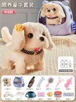 Выбранные роскошные полные комплекты? Золотая ретривера Dog [Pet Bag+Feed Pot+Sharing Set] Аккумуляторная версия