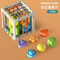 【Color Box Saiyle】 -форма в форме модели