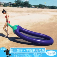 2,5 метра Большой баклажан+автомобильный дом с двойным зарядным насосом насоса