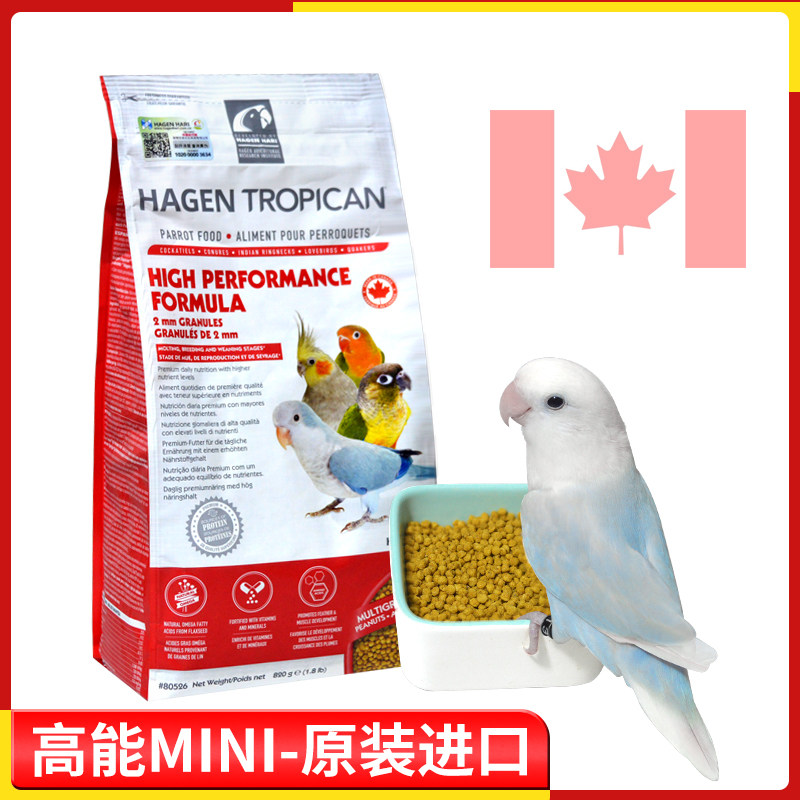 Hagen Harry Parrot High Energy Nourishing Pills Small and Medium Synthetic Grain Feed mini Small Grain Bird Grain 1 8lb