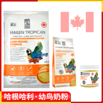 Hagenhalli Hagen Parrot Lait Poudre Main Raised Young Birds Fattening Feed Chick Nutrition Food Canada Importations