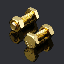 304 Stainless Steel Screw Gold-plated Hexagon Screw Retro Screw Anti-rust Screw Decorative Screw Bolt