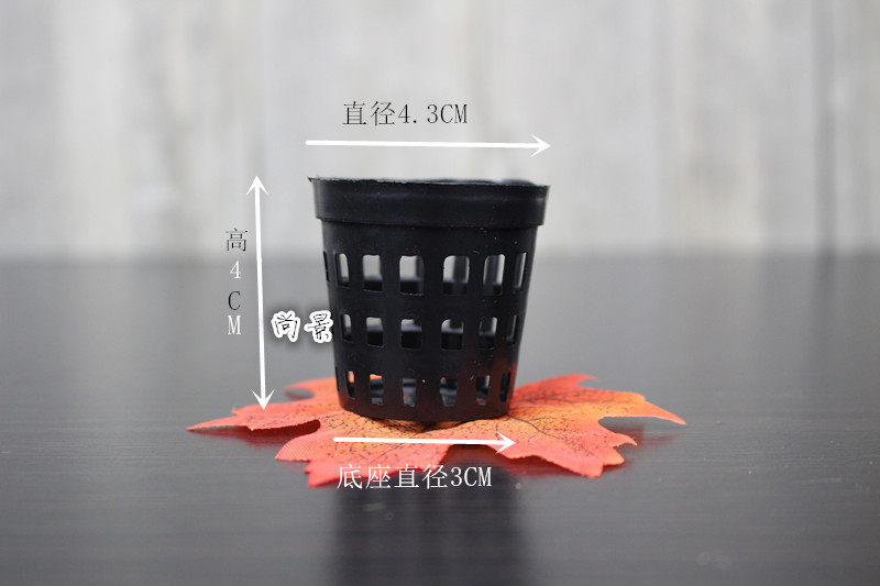 Rainforest cylinder bottom background Planting Basket Air Phoenix Fixed Basket Plant Fixed Basket Small Potted Plant Planting Basket