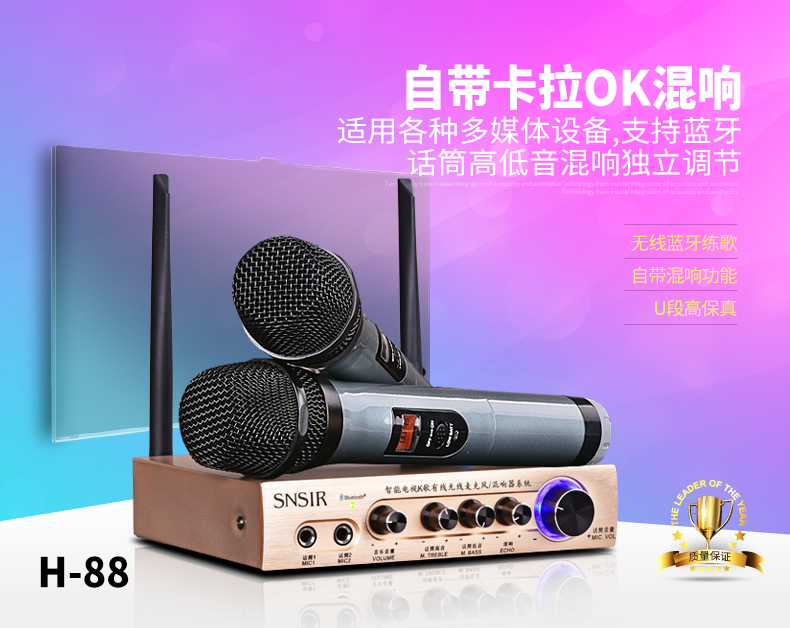 giá micro không dây shure SNSIR / Shenshi h-103 micrô không dây micrô nhà TV karaoke Thiết bị hát đặc biệt micro karaoke có dây