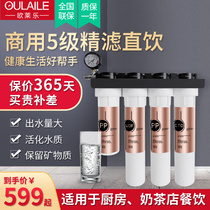 Commercial Water Purifier Straight Drinking Kitchen Tap Water Filter Water Purifier Ultra-Filtration Kitchen down Home Automatic