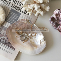 Natural wild ugly Shell first jewelry storage plate decoration ornaments ins Wind shooting props abstract