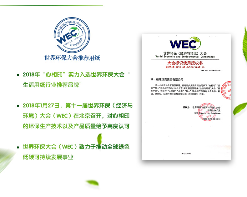 预售 心相印 茶语系列抽纸 80包 图6