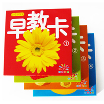 0-3 years old baby early education card Infant cognitive recognition card Toddler enlightenment learning card Animal digital card