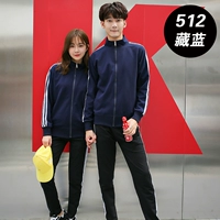 512 Тибетский синий