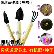 Bộ đồ ba mảnh làm vườn, dụng cụ làm hoa, rau, hoa, thịt, thịt, dụng cụ, xẻng nhỏ, bọ cạp nhỏ, ban công, chậu cây