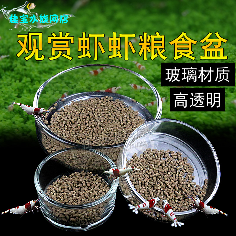 Crystal shrimp basin feeding basin fish feeding glass shrimp fish feeding