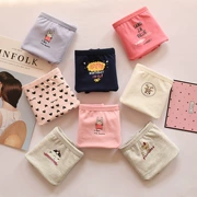 Cotton Sinh lý Quần lót Kích thước lớn Đồ lót nữ dễ thương Quần lót kinh nguyệt Cô gái bông gợi cảm Leakproof dì Tóm tắt