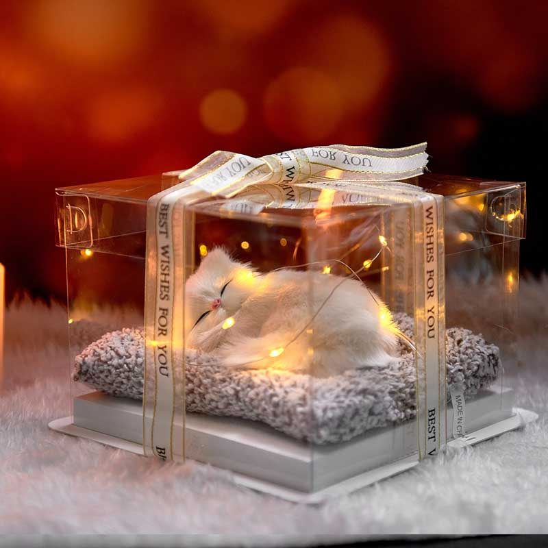 Simulation bamboo charcoal cat doll plush toy girlfriend girlfriend boyfriend graduation Tanabata Valentine's Day gift