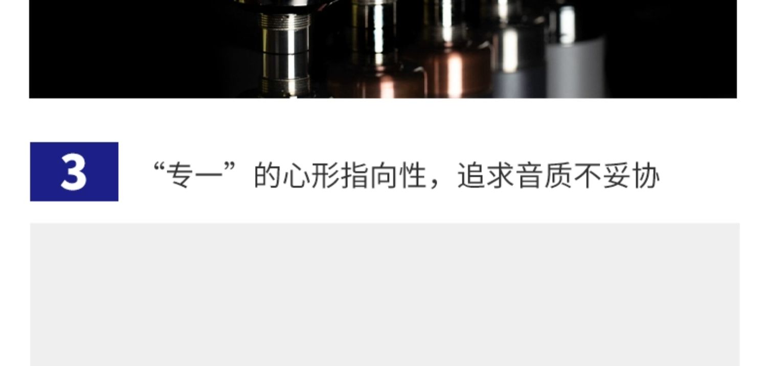 Telefunken/德律风根 TF11插图5