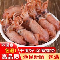 Aplysia dried goods Aplysia 500g small squid with seeds light sun-dried pen tube fish and squid dried non-special seafood aquatic products