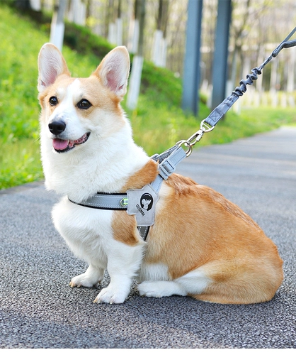 Дроящая веревка для собак Маленькая и маленькая собака и шейная цепь собак Корги сражается с ремешками, собака, ходящая собака веревка для питомца, петля