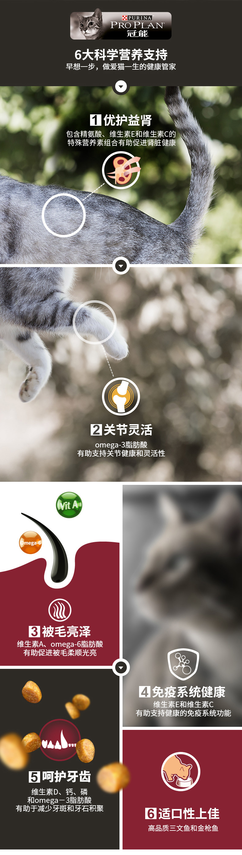 Nước sốt mèo nhà Crown có thể bảo vệ thận và cá hồi biển sâu vào mèo và mèo thức ăn đầy đủ giá mèo 400g thêm sữa non bò - Cat Staples hạt nào tốt cho mèo