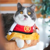 Домашний соус кошачий соус Пети -Плейс олимпийский кот милый и смешная трансформация косплей Трехмерная одежда Фотография одежда