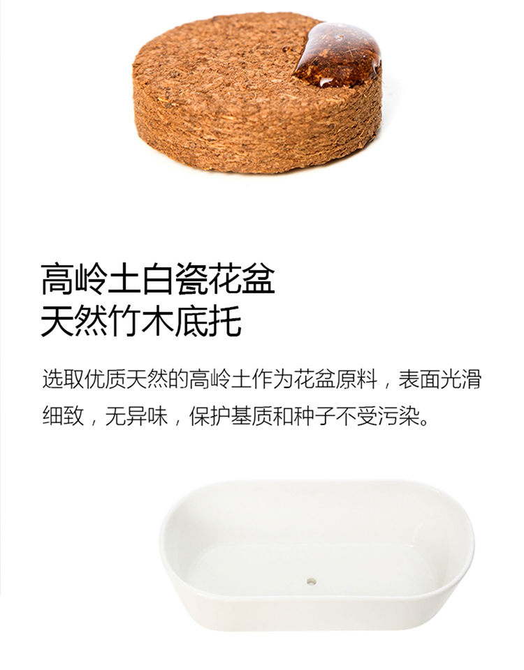 Nước sốt mèo nhà Wakupet mèo cỏ ăn nhẹ tự nhiên trồng lúa mì đặt lông tẩy lông bóng mèo cỏ mèo ăn nhẹ - Đồ ăn nhẹ cho mèo ca hop