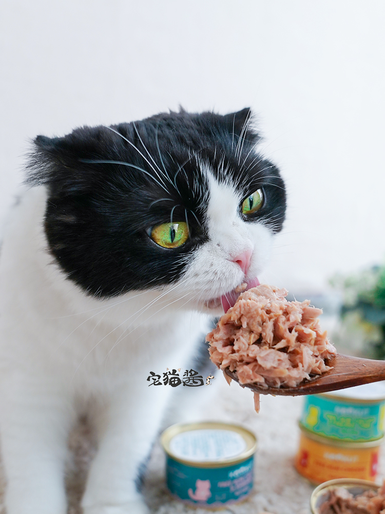 Nước sốt mèo nhà KOOKUT mát mẻ toàn bộ loạt súp súp cá ngừ đóng hộp gà hương vị mèo snack 70g - Đồ ăn nhẹ cho mèo thức ăn của mèo