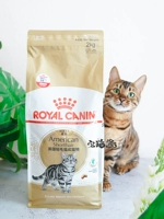 House Cat Sauce Royal Canin Royal Cat Food Beauty Short Cat Food ASA31 Shorthair Cat Main Food 2kg - Cat Staples đồ ăn mèo