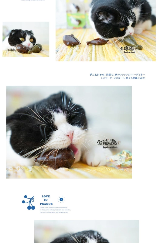 House Cat Sauce Mu Tian Li Molar Toy FOFOS Two Fortune Mellow Catnip Candy Strong Meat Cat Toy - Mèo / Chó Đồ chơi