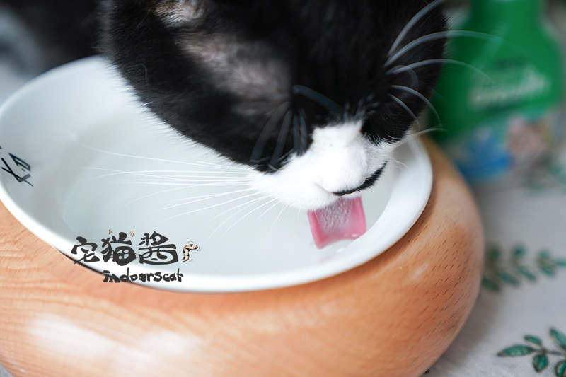 Nước sốt mèo nhà 3 giọt hơi thở thơm mát mỗi ngày Mèo sạch răng Hơi thở thơm mát Nhập khẩu đẹp hơn 65ml - Cat / Dog Beauty & Cleaning Supplies chải lông mèo