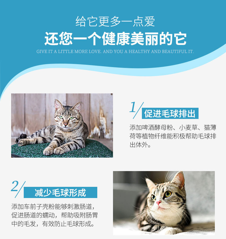 Nước sốt mèo nhà Wiscone có tác dụng mạnh mẽ của kem men Cat Bổ sung vitamin để điều hòa dạ dày ba tác dụng - Cat / Dog Health bổ sung sữa cho chó bị bệnh