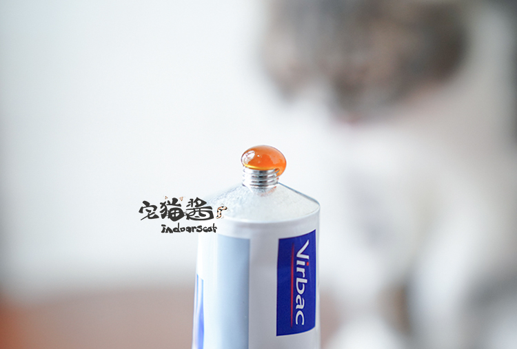 Nước sốt mèo nhà Đây không phải là kem dinh dưỡng bấc Virbac France - Cat / Dog Health bổ sung sữa cho chó mèo