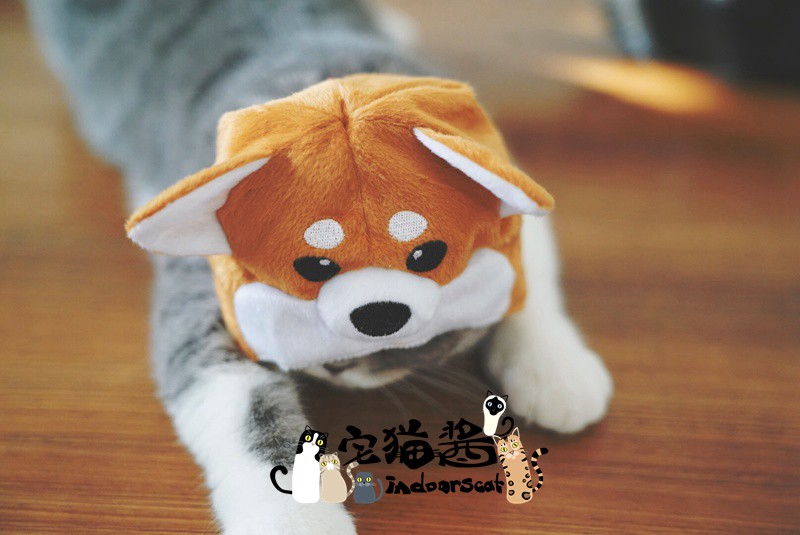 Nhà mèo nước sốt petio piedi biến đổi trang phục mèo cosplay nhiếp ảnh trang phục mũ nón thú cưng - Quần áo & phụ kiện thú cưng áo cho chó phốc
