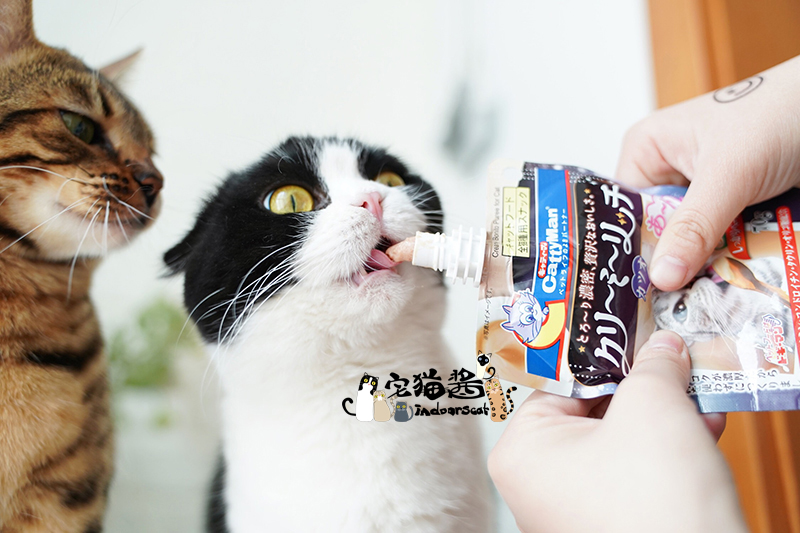 House Cat Sauce Doug Man Cat Lotion Đồ ăn nhẹ Sữa Dew Chicken Hương vị Cá Cat Dinh dưỡng Thực phẩm ướt Gói 70g - Đồ ăn nhẹ cho mèo hạt catsrang 5kg