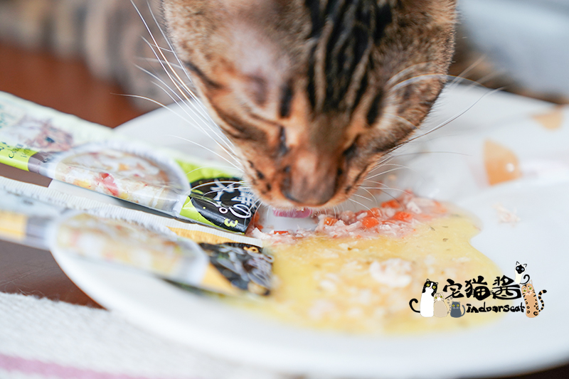 House Cat Sauce Pet Express Line Petline Series Món ăn ngon cho mèo Đồ ăn nhẹ Phong cách ẩm ướt Thanh thực phẩm Gói 4 Gói cá đóng hộp