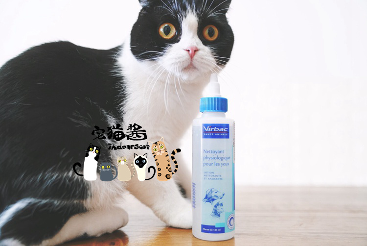 House Cat Sauce Parental Medicine Box Vick Eye Cleansing Liquid 125ml Eye Net Cat Dog Universal Pet Eye Drops - Thuốc nhỏ mắt thuốc nhỏ mắt của mèo
