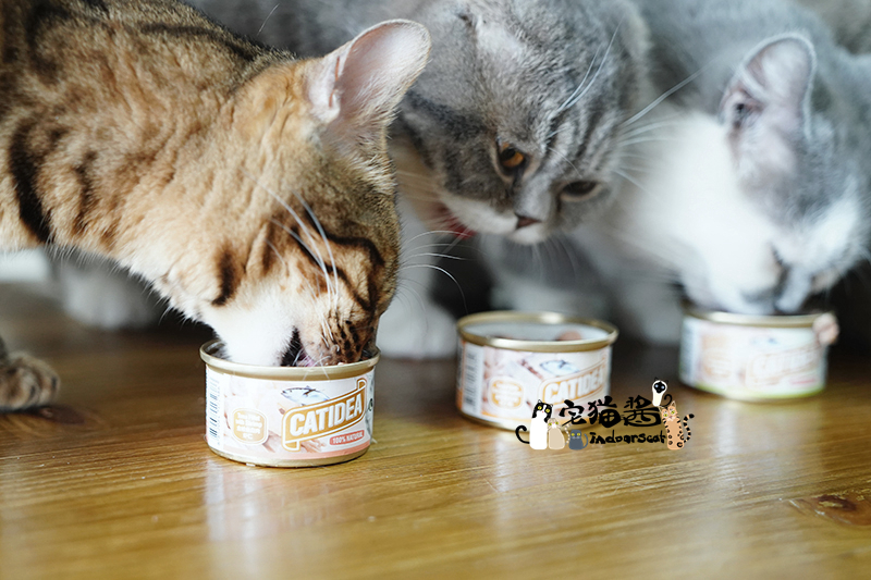 House Cat Sauce Cat Le Shi Cat Đóng hộp Sáu hương vị Cat Snacks Wet Grain Jar Big Block Hải sản Thưởng thức 6x85g - Đồ ăn nhẹ cho mèo Có nên trộn 2 loại hạt cho mèo
