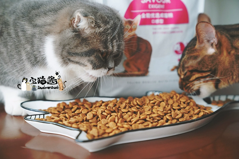House Cat Sauce Royal Canin Royal Cat Food Toàn năng ưa thích Miệng loại Cat Food ES35 Staple Food 2kg