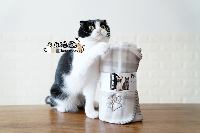 Nước sốt mèo nhà Cho mèo chăm sóc như em bé Chăn mèo cưng Chăn ấm và thoải mái - Cat / Dog hàng ngày Neccessities 	bát thức ăn cho chó	