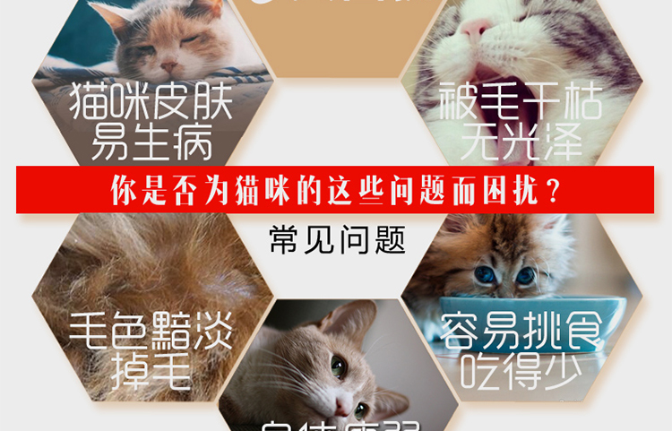 Nhà Mèo Sốt Một Hạt Một Mảnh Mèo Tiến Sĩ Bất Chip Pie Mèo Đồ Ăn Nhẹ Gà Pho Mát Đồ Ăn Nhẹ Sirlo 180 gam thức ăn cho mèo gần đây