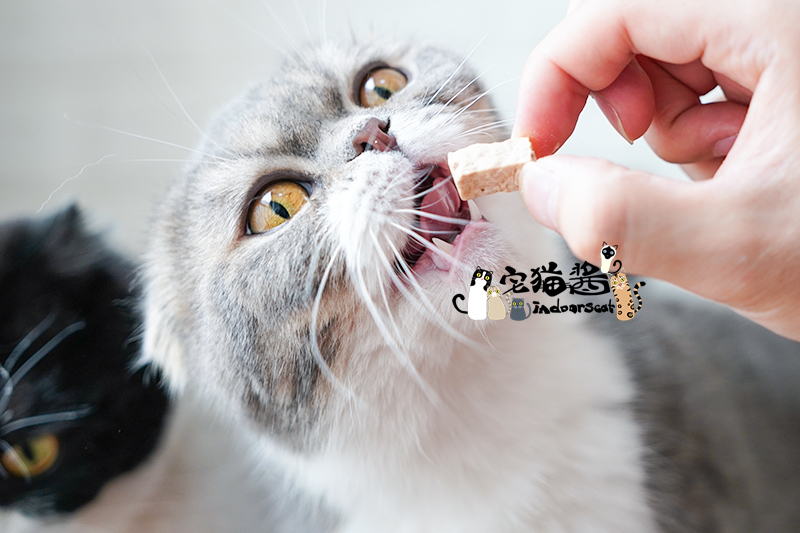 Nước sốt mèo nhà Tình yêu thú cưng khối đông khô nguyên thịt thịt mèo ăn nhẹ Gà khô thưởng thức ăn nhẹ 30g - Đồ ăn nhẹ cho mèo mua thuc an cho meo