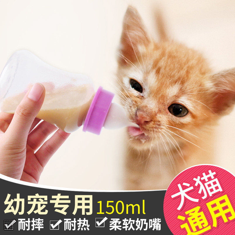 Young Cat Puppies Small Pacifier Pets Milk Bottle Cats Newborn Kittens Puppies Special Laces Kittens Kittens
