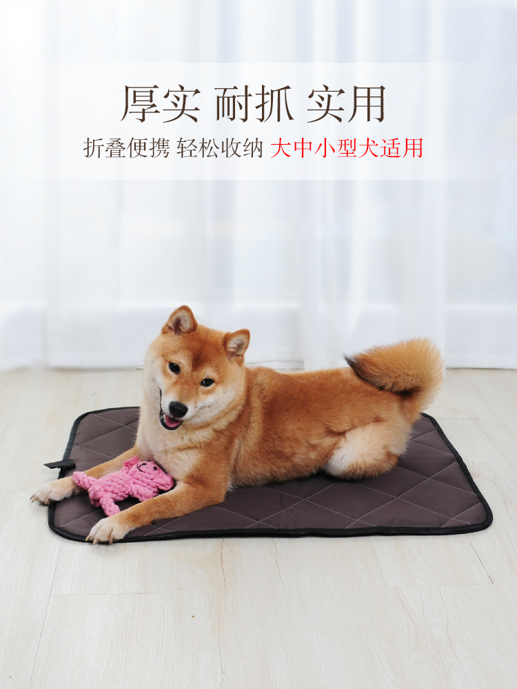 Pet car pad dog sleeping pad summer four seasons scratch-resistant anti-bite waterproof rear seat car pad cat and dog universal car pad