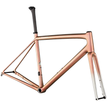 SPECIALIZED LIGHTNING S-WORKS AETHOS CARBON FIBER HIGHWAY BIKE FRAME