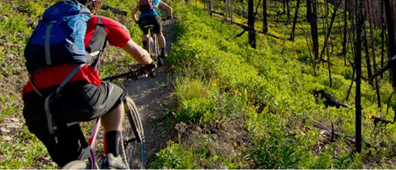 Selle de vélo Mountain Bike SPECIALIZED - Ref 2351807 Image 3