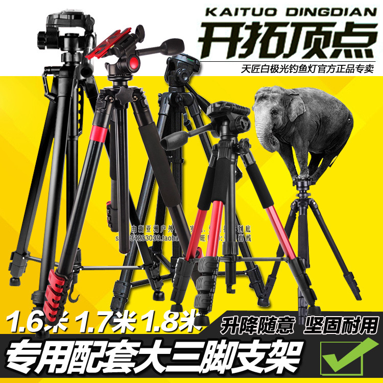 Beijing Dingtzhen 1.6 1.7m 1.8m Special Night Fishing Lamp with Thickened Alloy Tripod Stand