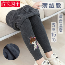 Girls leggings plus velvet thin velvet Spring and Autumn wear 2021 Winter new baby warm cotton pants childrens foreign pants