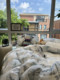 Banana leaves silky summer bed four-piece set