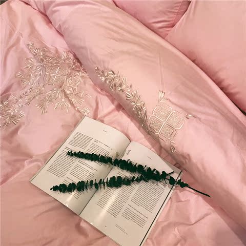 Bông satin giường thêu váy một gia đình bốn Hàn Quốc công chúa gió bông hồng giường lanh 1.5m1.8 - Bộ đồ giường bốn mảnh chăn ga khách sạn