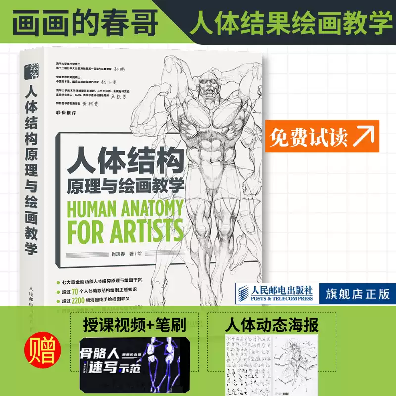 人体结构绘画教学书籍动漫插画人体结构技法手绘造型技巧教学